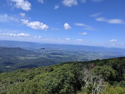 View of Page Valley from AT above Lewis Falls area, below Big Meadows.