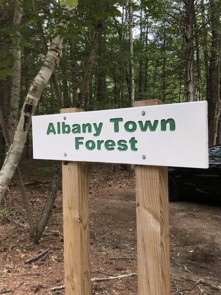 Albany Town Forest.