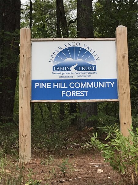 Pine Hill Community Forest.