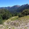 Trailhead at upper end of trail at Colorado Hwy 133 very near top of McClure Pass.