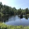 View of Little Clay Pond.