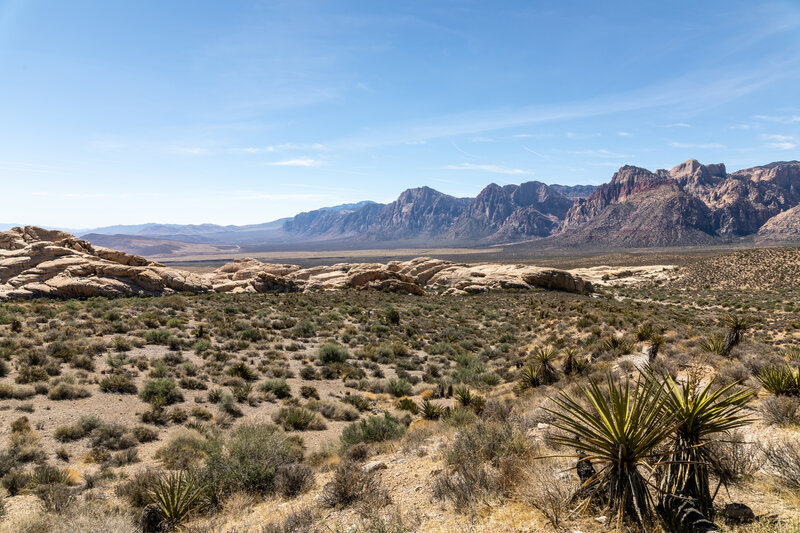 The Rainbow Mountains and Calico Hills from the ascent to Turtlehead Peak.