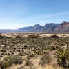 The Rainbow Mountains and Calico Hills from the ascent to Turtlehead Peak.