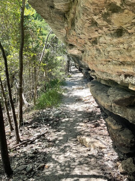 Hiked trail on Sept 7th. Two mile hike took us two hours! Trail in HORRIBLE CONDITION. Poorly hardly marked. Tree webs, tall weeds, slippery acorn, rocks, tree branch, holes, fallen trees and rocks make trail dangerous! Poorly maintained by C.O.E