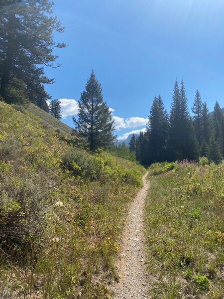 Cache Creek Climb.