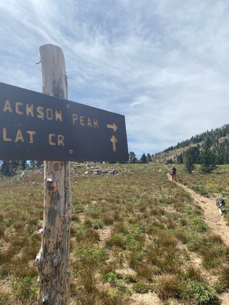 Flat Creek / Jackson Peak intersection