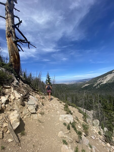 Bridger-Teton NationalForest.