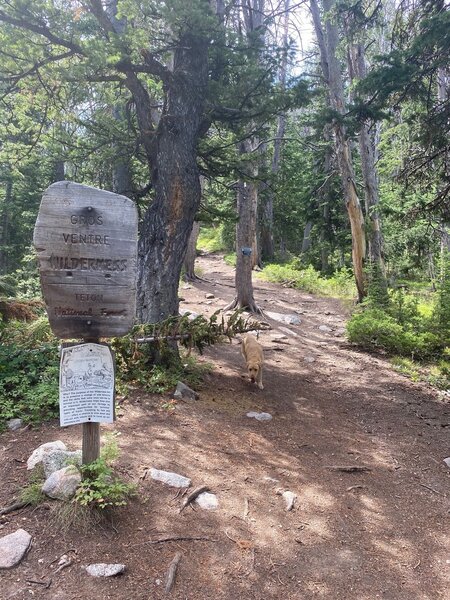 Gros Ventre Wilderness Boundary.