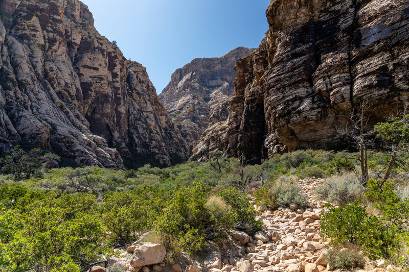 Ice Box Canyon.