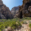 Ice Box Canyon.