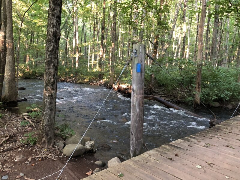 Wooden suspension bridge crossing the West River.