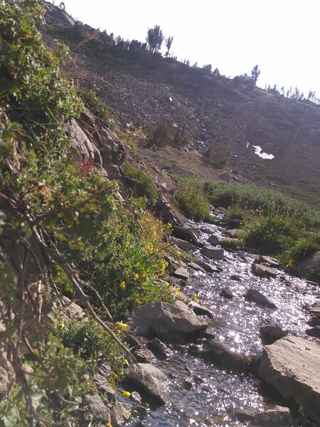 Crossing a creek in the Mokelumne Wilderness somewhere near Round Top.