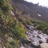 Crossing a creek in the Mokelumne Wilderness somewhere near Round Top.