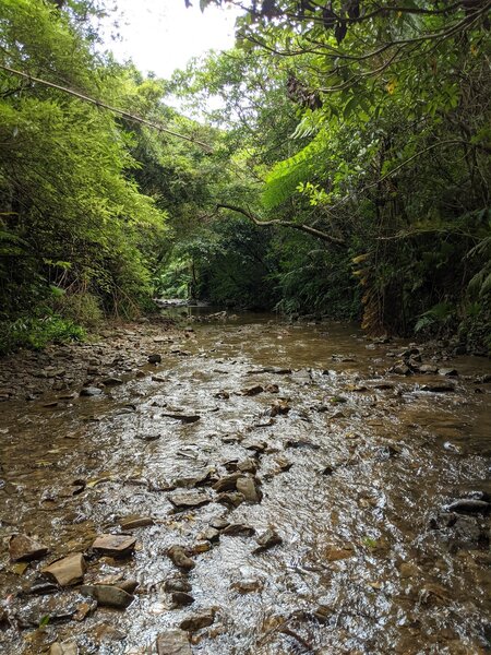 Trail through the river leading to Ta-Taki Waterfall.