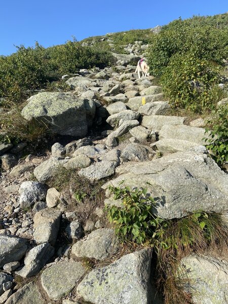 Steep staircase climb.