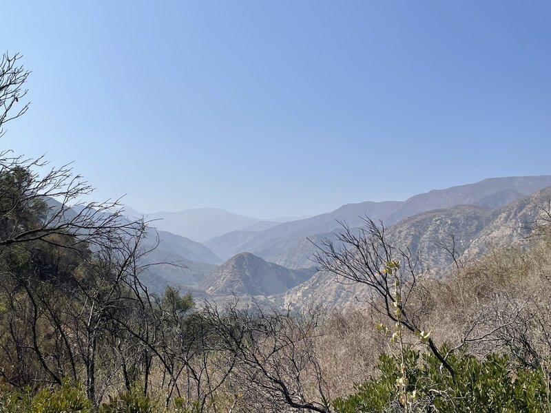 View overlooking Ojai from atop the trail.