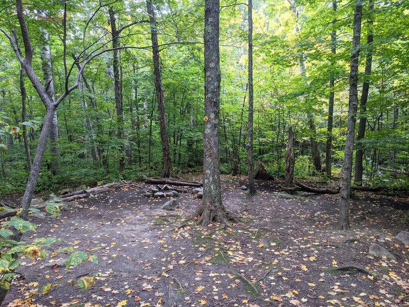 One of three posted camp sites on the Boquet Forks trail to Grace Peak.