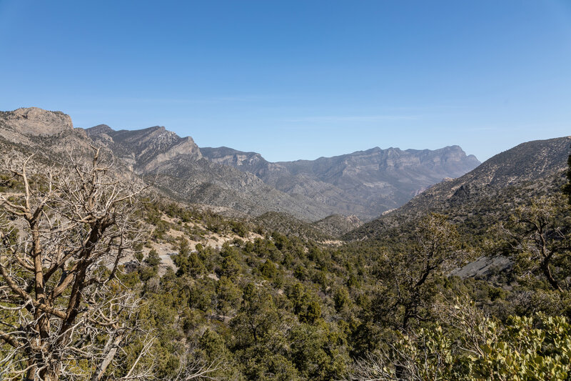 La Madre Mountains.