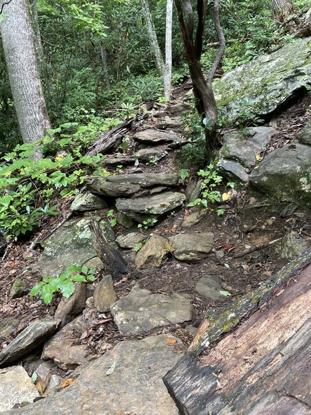 Many rocky portions heading up the trail.