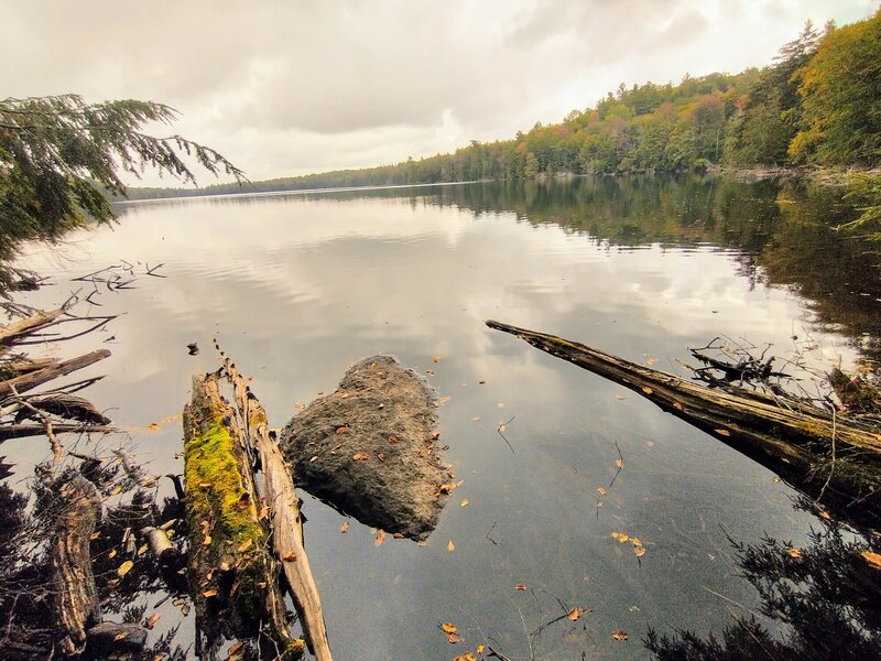 View of Deer Pond from the south end near the boat.