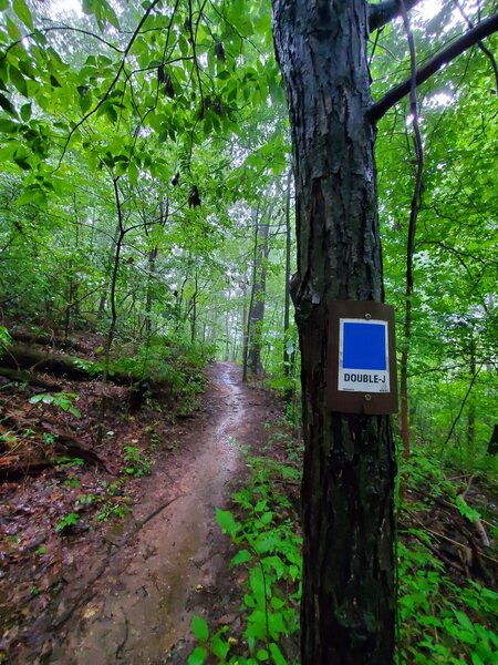 The Blue Loop is a combination of other trails. Simply follow the blue ...