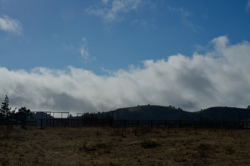 Cow gates remind you of the areas ranching past.