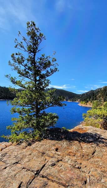 A view of the Northwestern leg of Gross Reservoir.