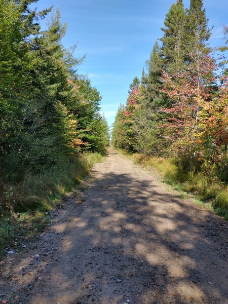 Nice walking path.