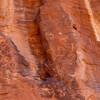 Petroglyphs along Mouse's Tank Trail.