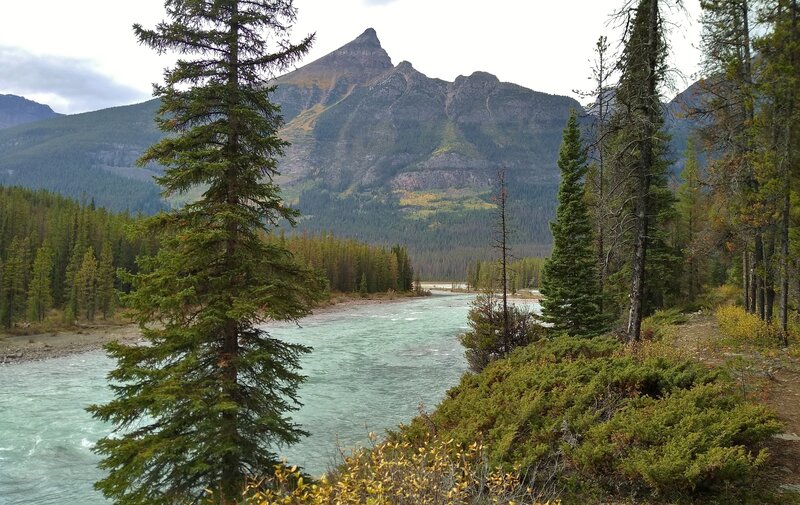 Athabasca River looking downstream/northwest near where the old bridge washed away in 2014. The Chaba River empties into the Athabasca from the left in front of Fortress Mountain. (upper center). Stunning Fortress Lake is behind Fortress Mountain