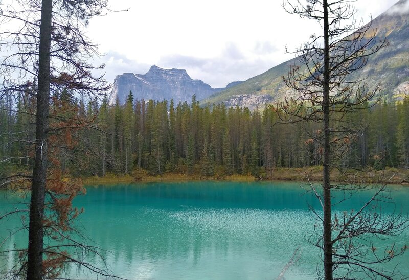 A cute turquoise lake along the Chaba Trail. Mount Sadleir in the distance (center left) and the shoulder of Fortress Mountain on the right.  Fortress Lake (not visible) is tucked in between Mount Sadleir and Fortress Mountain.