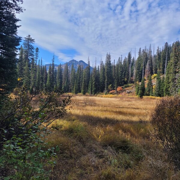 The Marsh in Fall.