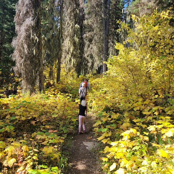 Well maintained trail in fall