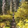 Well maintained trail in fall