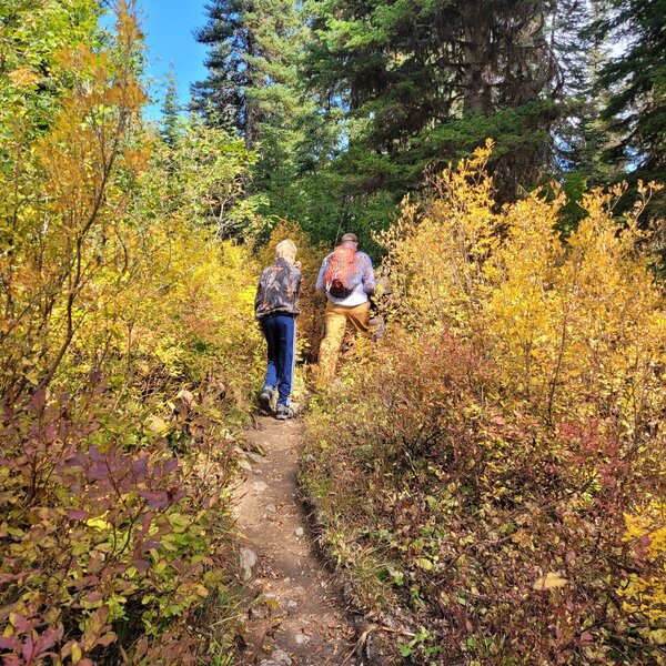 The steeper section of the trail.