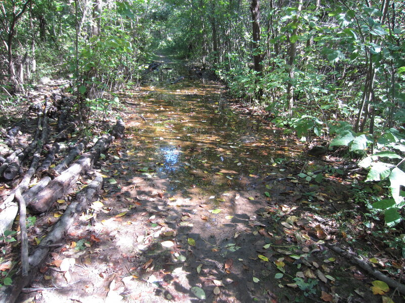 Water over the trail.