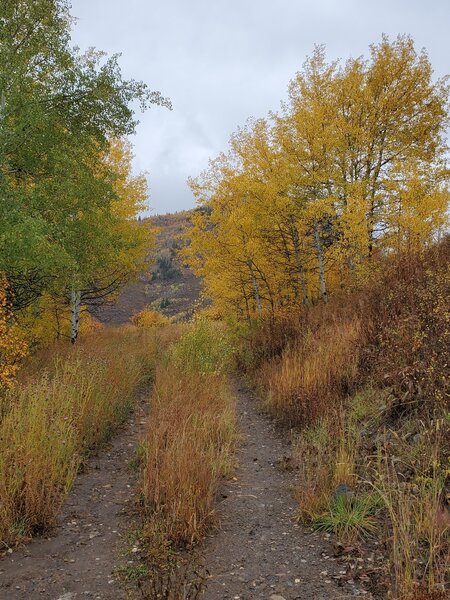 Near the start of the Haymeadow Trail - with fall aspen color.