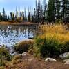 The lily pads have wilted by late September, but the golden grasses and aspens make up for it.