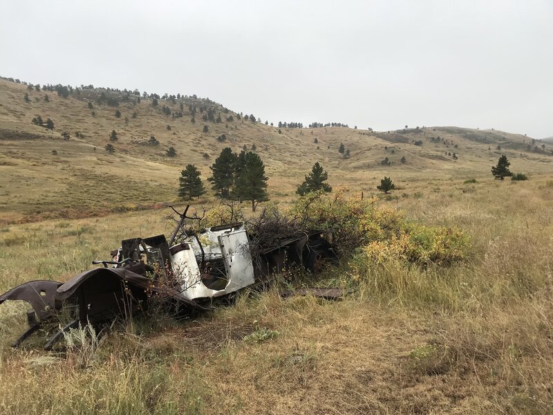 Nature reclaims all, the truck looks like a garden planter.