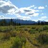 Meadows of willows and distant mountains along Willow Creek Trail.