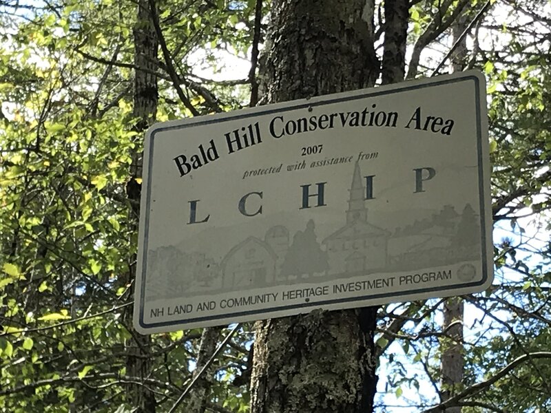 Bald Hill Conservation Area