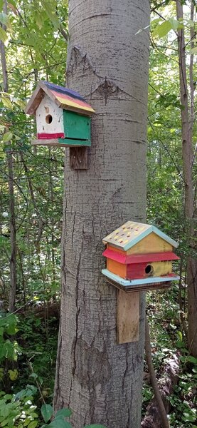 Birdhouses along trail