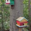 Birdhouses along trail