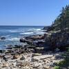 As you hike the eastern side of the loop just off the trail are incredible views of the rocky shore.