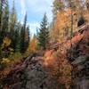 Fall colors along Crane Creek (9-29-2021)