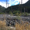 Tahoma Creek from the Westside Road