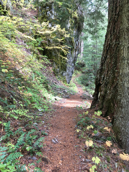 Large rock by the trail.