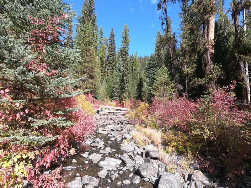 Trout Creek along trail.