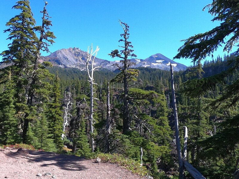 North and Middle Sister from trail.