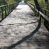 Boardwalk trail.